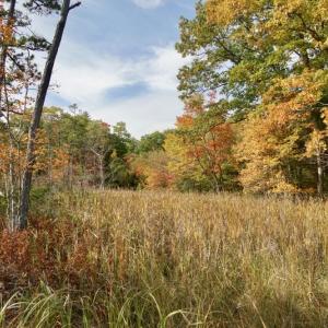 Join KELT for its annual meeting and membership celebration on April 6 to learn about our progress in 2016 and our work to include climate change impacts in future conservation. Courtesy of Bob Huber