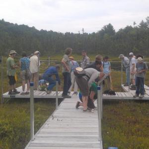 A group on the bog boardwalk at Hidden Valley Nature Center. Courtesy photo