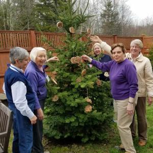 Boothbay Region Garden Club members hang the peanut butter and bird seed rice cake feeders on a fir tree at St. Andrews Village. From left are Jane Homer, Barbara Leonard, Nan Jackson, Karen Gilbert and Kathleen Marty. Courtesy photo