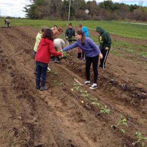 Students from Great Salt Bay Community School help plant seedlings for Twin Villages Foodbank Farm. Courtesy photo