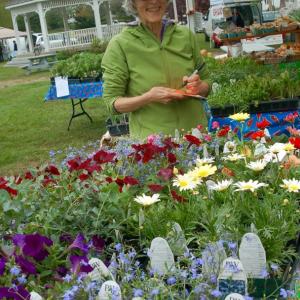 Stevie Hale of Boothbay helps out at the Goranson Farm stand. ART MAYERS/Boothbay Register