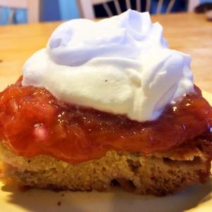 Sour cream rhubarb cake with warm rhubarb sauce and whipped cream is, like, totally awesome. SUZI THAYER/Boothbay Register