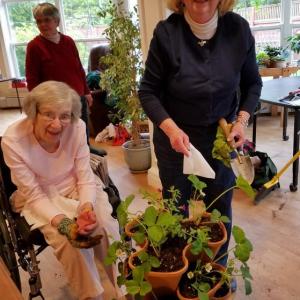 Garden Therapy fun on June 6. Standing, Nan Jackson, BRGC GardenTherapy co-chair guides the planting of a multi-layer planter at St Andrews Gregory Wing as residents look on. Courtesy of Kathleen Marty