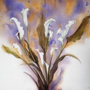 Hilary Bartlett