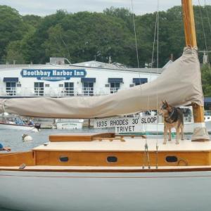 A canine first mate helps direct harbor boat traffic. ART MAYERS/Boothbay Register