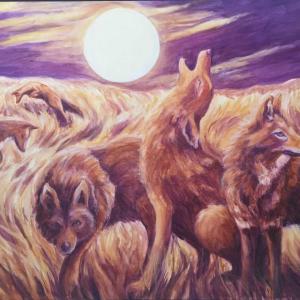 Coyote Medicine by Helen Warren