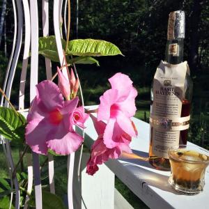 Cocktail hour on the deck: A cute little Heisey glass with Basil Heyden’s bourbon, a splash of blood orange bitters, and a few frozen blueberries. SUZI THAYER/Boothbay Register