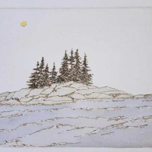 From Nancy Coleman’s new collection. See it at BIRCH in Wiscasset during the Wiscasset Art Walk Aug. 31. Courtesy of Brad Sevaldson Nancy Coleman