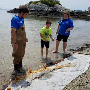 Maine State Aquarium interns Ben Cloutier, left, and Molly Maurer, right, explain seining to a participant in their “Explore the Zone” presentation held at Hendricks Head in Southport. Courtesy photo