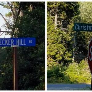 Two of the signs on Southport that have been replaced due to theft in recent years. KATRINA RICKERMANN/Boothbay Register