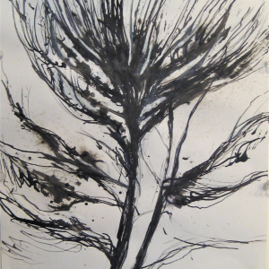 Leonard Meiselman