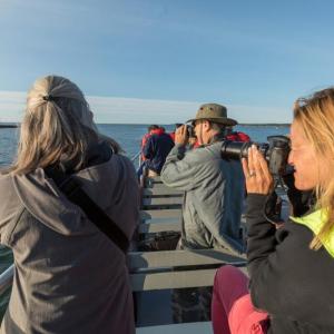 Cruise participants photograph Hendricks Head Lighthouse from the upper deck of the Balmy Days. Courtesy of Michael Leonard