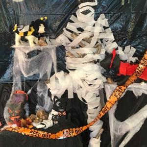 Win this skeleton made of dog bones on Nov. 4 at the Animal House in Damariscotta. Courtesy of Becca Robison