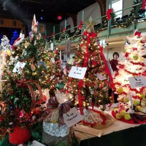 Remember to do some Christmas shopping at one of the five shops at the Festival of Trees. Courtesy photo