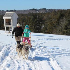 Dogsledding is one of the highlights of Damariscotta River Association’s winter day camps. Courtesy of DRA