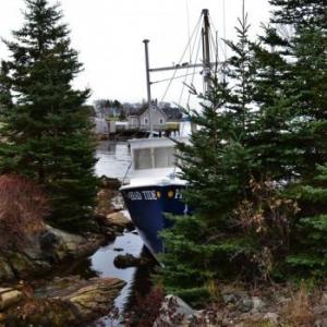 Head Tide broke free of a dock and floated into the head of Mill Cove. JOSEPH CHARPENTIER/Boothbay Register