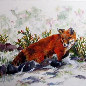 This “Sly Fox” is one of Judy Nixon’s paintings included in her show at Miles Memorial Hospital. Courtesy of the artist Judy Nixon, Maine