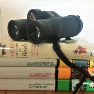 The tools for birding. Courtesy of Anna Christie-Carnicella