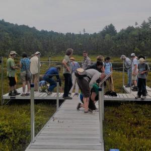 A bog boardwalk group checks out the ecosystem. Courtesy of Ali Stevenson