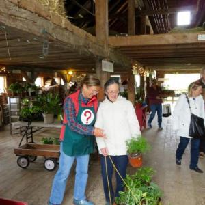 Morris Farm volunteer Ruth Appleyard assists a customer at last year’s sale. The 2018 plant sale is Saturday, May 19 from 8:30 a.m. until 12:30 p.m. Courtesy of the Morris Farm