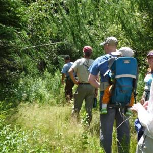 A hiking group on Hills to Sea trail on a National Trails Day past. Courtesy photo