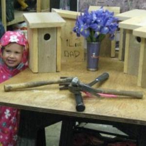Bluebird houses - you can build one too! Courtesy of Ali Stevenson