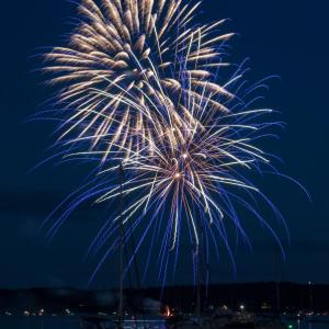 Fireworks by Mike Leonard