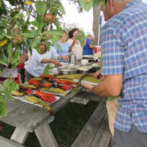 A scene from the 2017 event on a perfect August day. Courtesy photo
