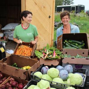 Twin Villages Foodbank Farm Manager Sara Cawthon, left, and Assistant Farm Manager Kaitlyn Gardner box up a load of freshly harvested vegetables for delivery to the Ecumenical Food Pantry in Newcastle. Courtesy of DRA