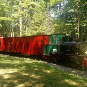 A freight train will be an unusual treat for Boothbay Railway Village visitors during the Railfan Day on Saturday, Aug. 4. Museum photo