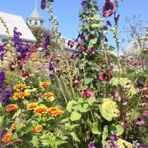 LISA KRISTOFF/Boothbay Register