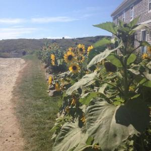 LISA KRISTOFF/Boothbay Register