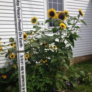 LISA KRISTOFF/Boothbay Register