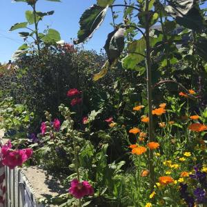 LISA KRISTOFF/Boothbay Register