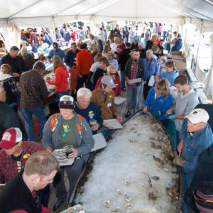 Guests at a past Pemaquid Oyster Festival enjoy oysters fresh from the Damariscotta River under the cover of a tent provided by Renys. The tent allows the festival to go regardless of weather conditions. This year the Pemaquid Oyster Festival is scheduled for Sunday, Sept. 30 from noon to dusk. Courtesy of Scott B. Smith