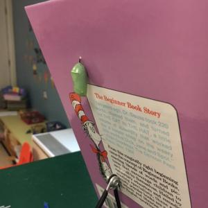 jordan plummer, boothbay region elementary school, new teacher