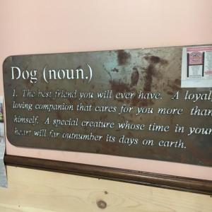 Boothbay Canine, Carole Jordan, dogs, kennel, business