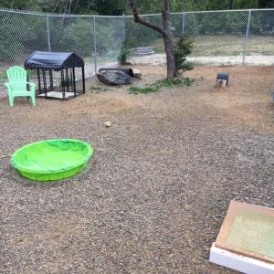 Boothbay Canine, Carole Jordan, dogs, kennel, business
