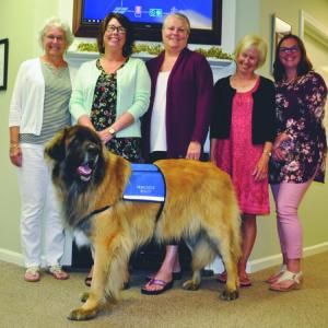 From left are Debby Schling, Newcastle Realty; Holly Harris, Debbie Furman, Susan Dale, and Brittany Carter from Cheney Insurance and Digger. Kim Traina photo
