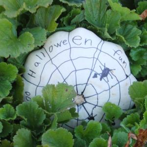 Coastal Maine Botanical Gardens