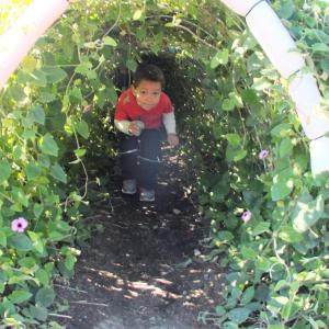 The Great Pumpkin Hunt at Coastal Maine Botanical Gardens Oct. 20.