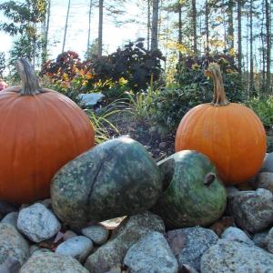 Coastal Maine Botanical Gardens