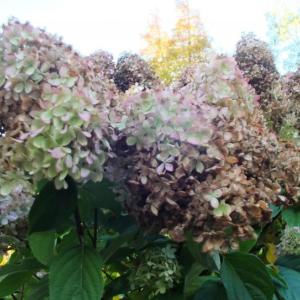 Coastal Maine Botanical Gardens