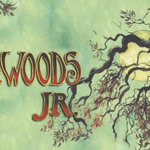 Production goes up Nov. 15-17 in the BRHS auditorium.