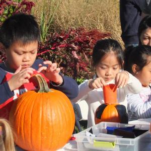The Great Pumpkin Hunt at Coastal Maine Botanical Gardens Oct. 20.