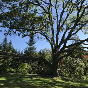 KELLIE BIGOS/Boothbay Register