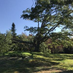 KELLIE BIGOS/Boothbay Register
