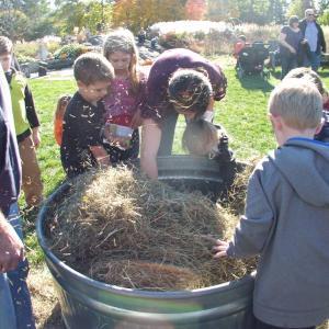 The Great Pumpkin Hunt at Coastal Maine Botanical Gardens Oct. 20.