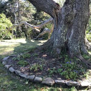 KELLIE BIGOS/Boothbay Register
