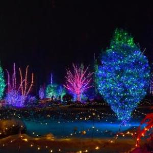 One of the many views at Gardens Aglow. Courtesy of Coastal Maine Botanical Gardens